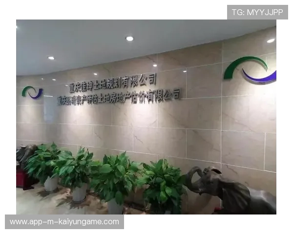 职业俱乐部的品牌资产评估